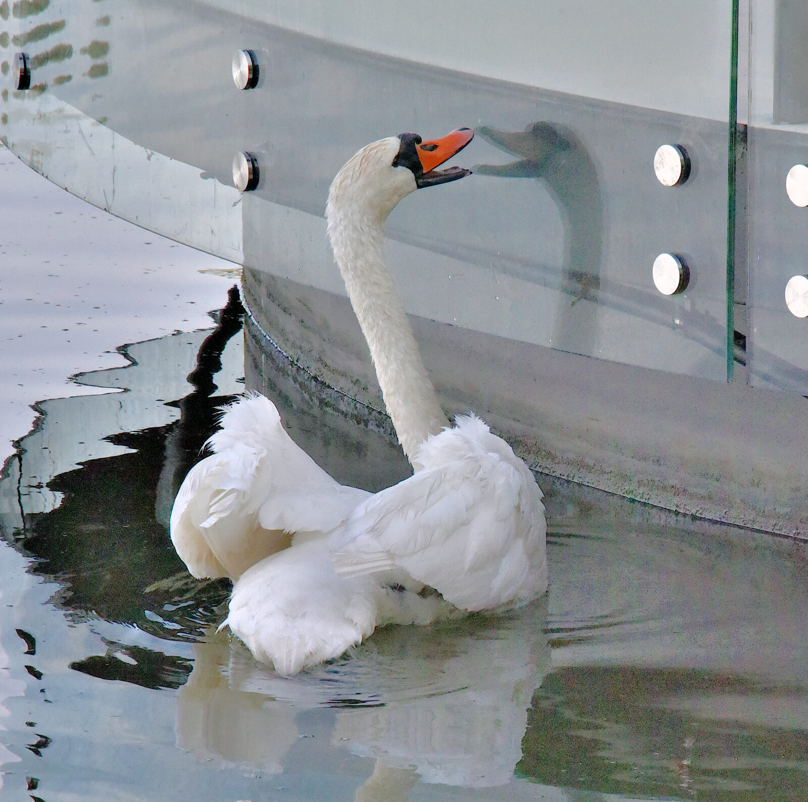 Valokuvaaja: Reijo Juurinen