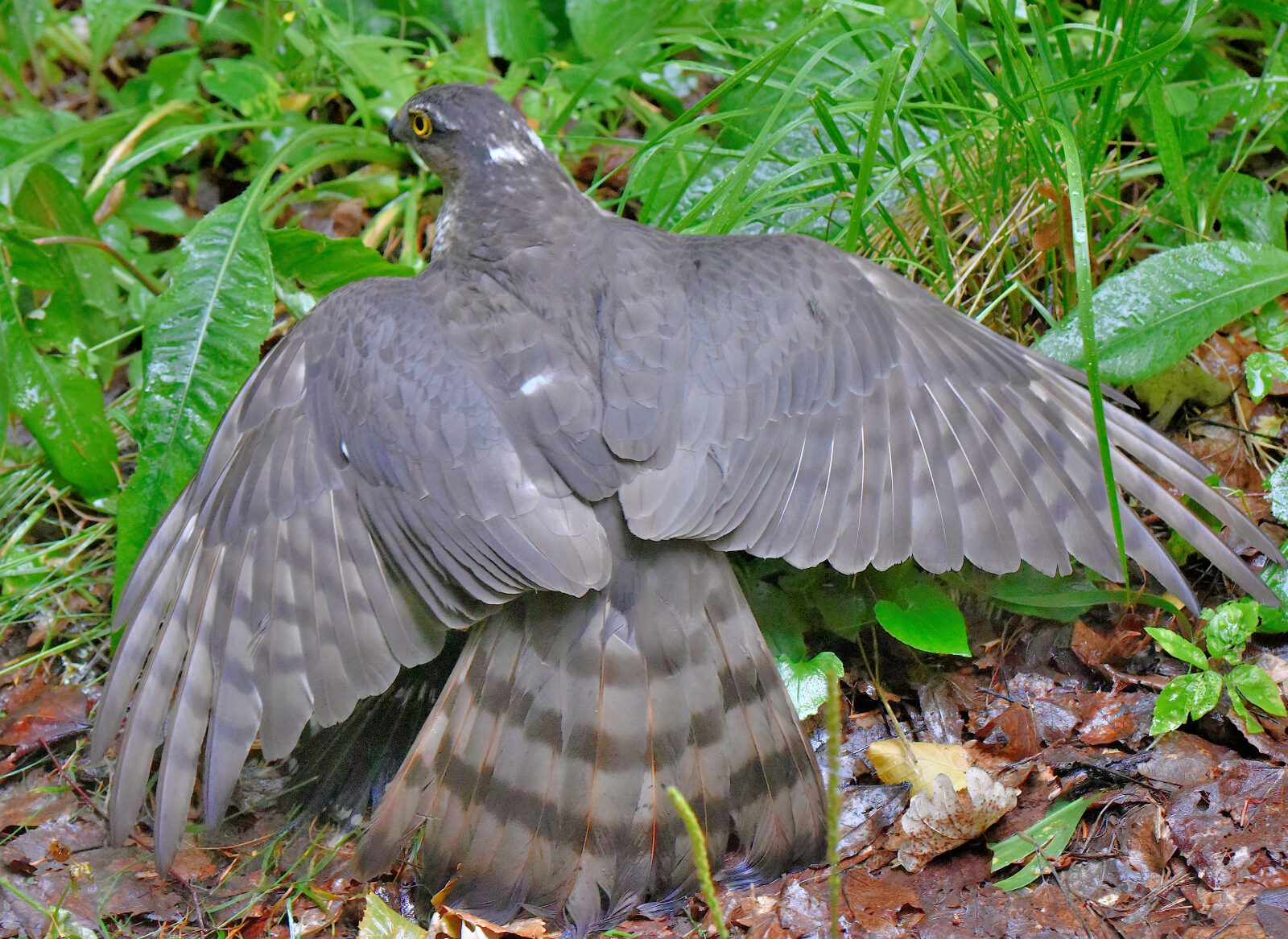 Valokuvaaja: Reijo Juurinen
