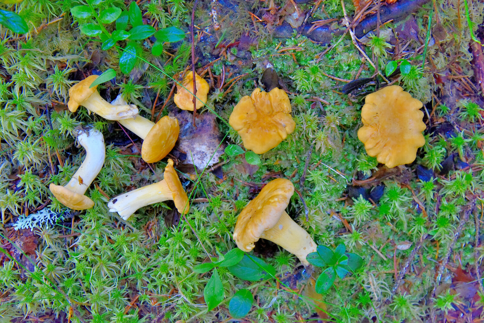 Valokuvaaja: Reijo Juurinen