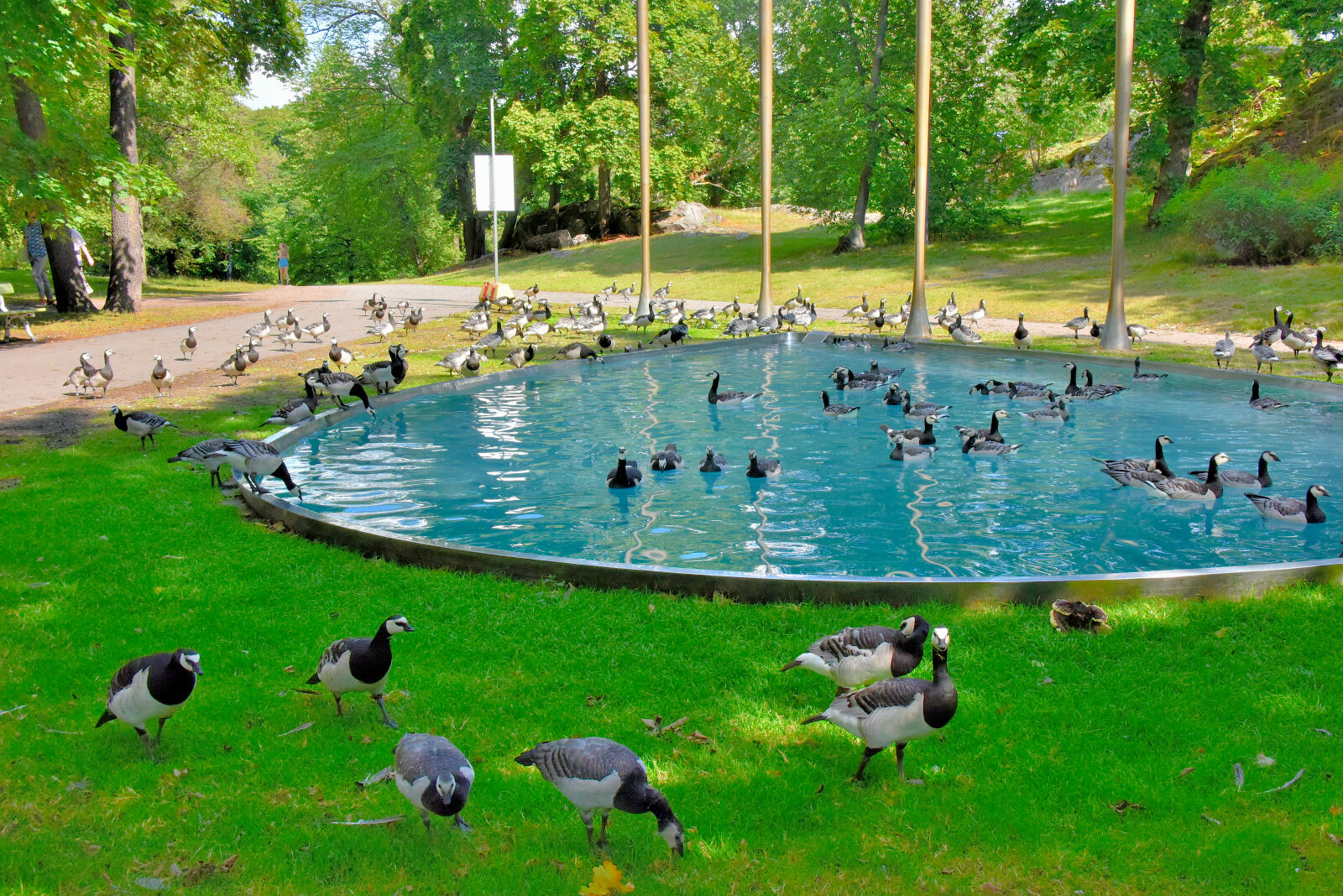 Valokuvaaja: Reijo Juurinen