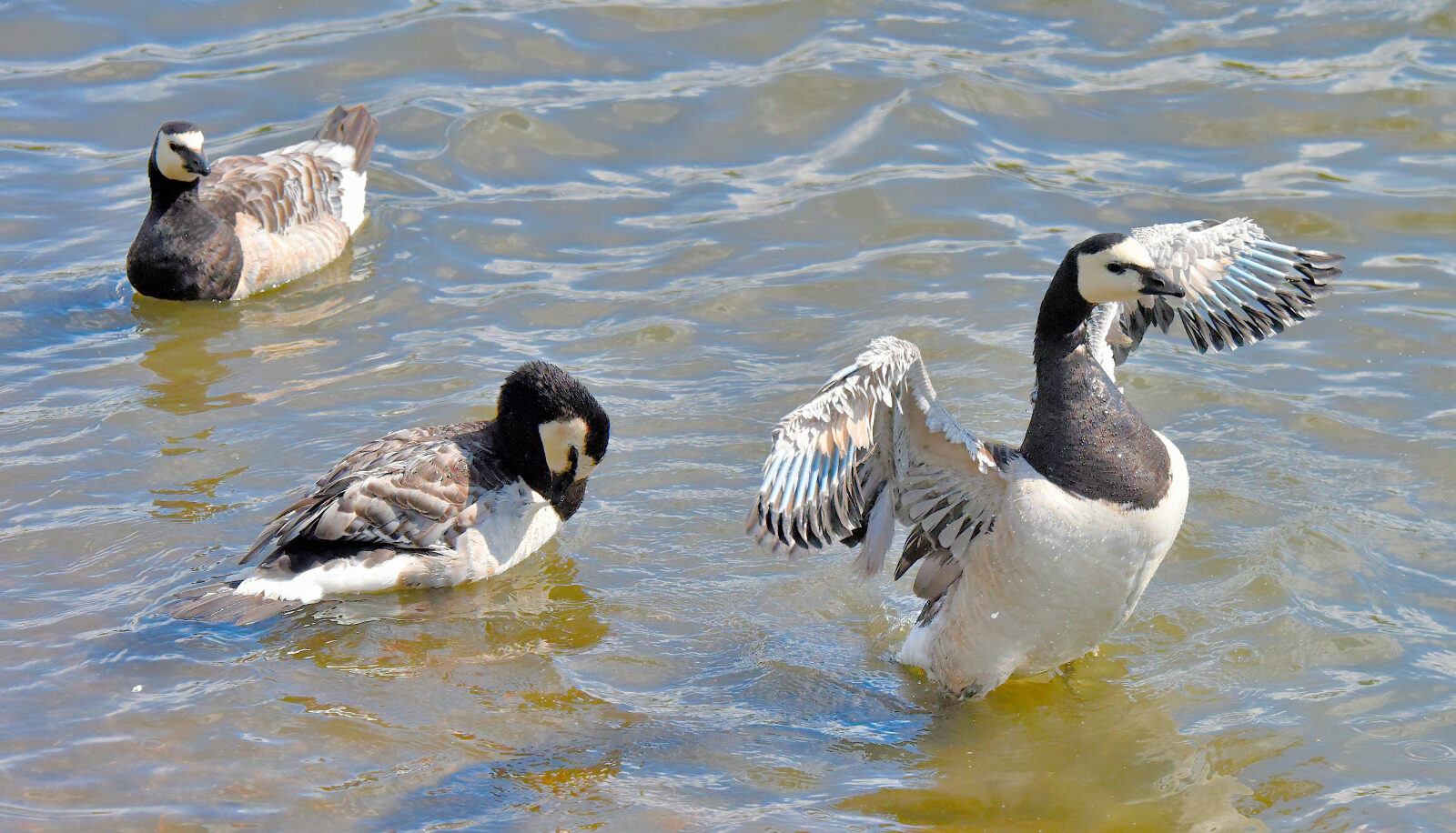 Valokuvaaja: Reijo Juurinen