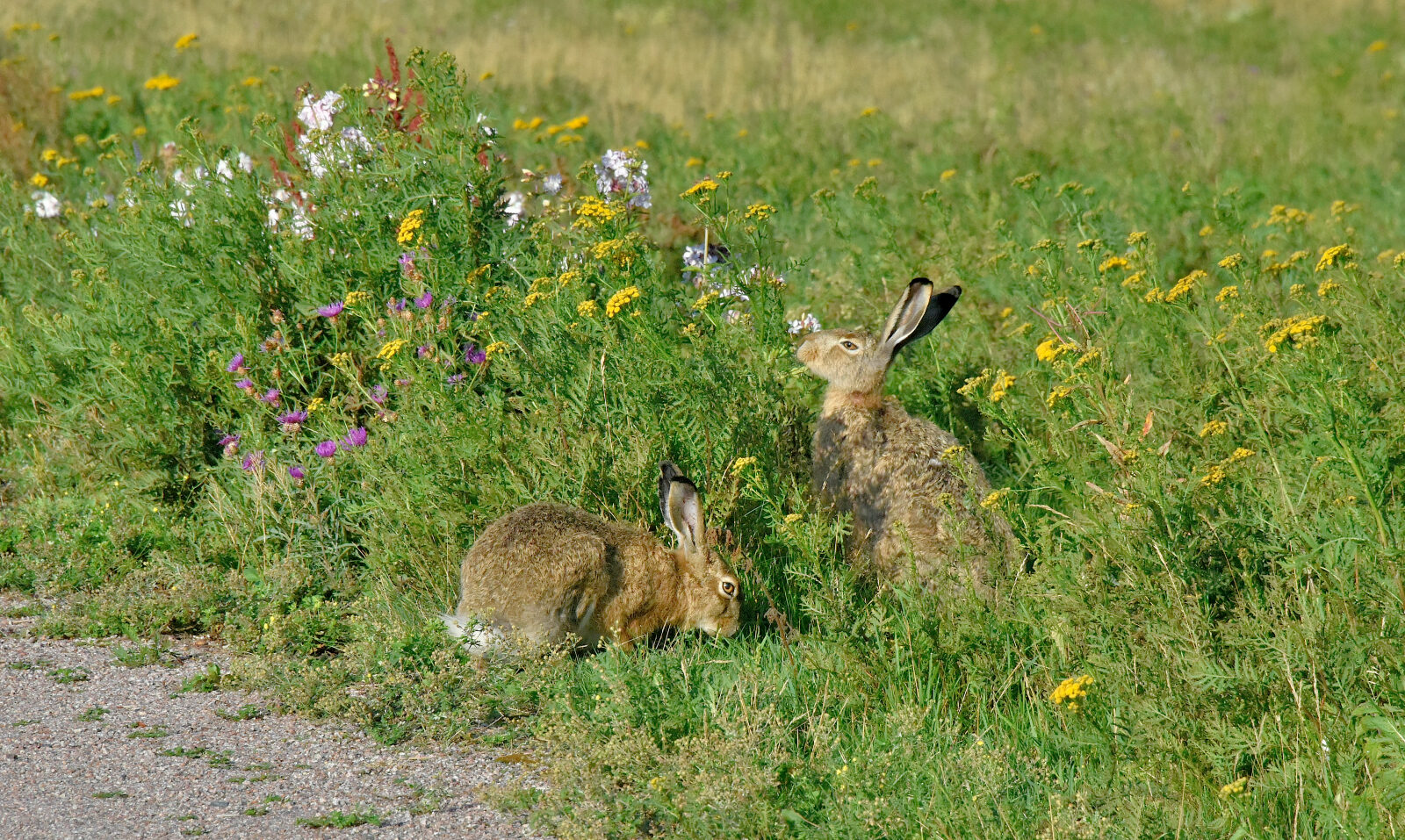 Valokuvaaja: Reijo Juurinen