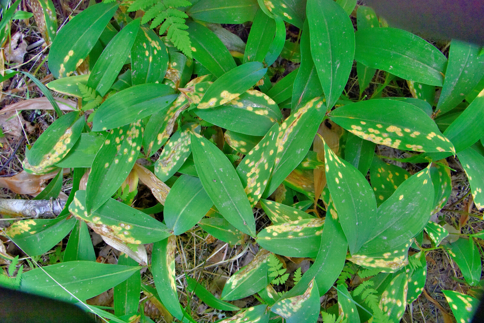 Valokuvaaja: Reijo Juurinen
