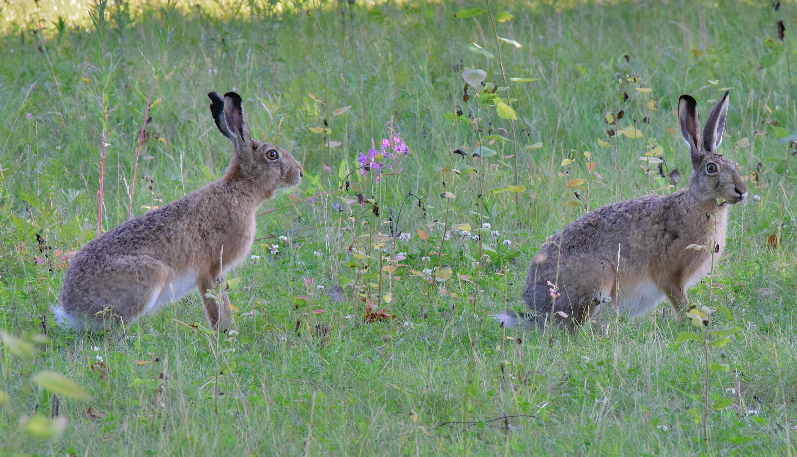 Valokuvaaja: Reijo Juurinen