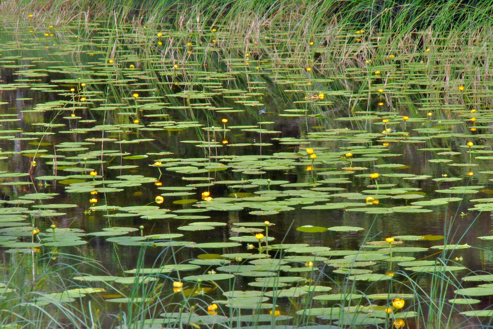 Valokuvaaja: Reijo Juurinen
