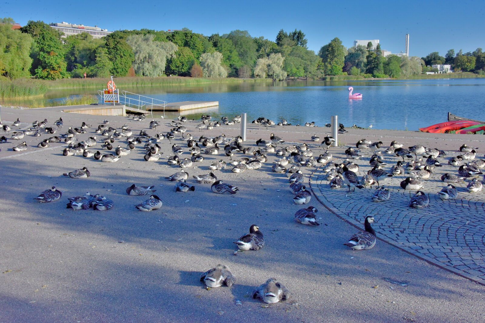 Valokuvaaja: Reijo Juurinen