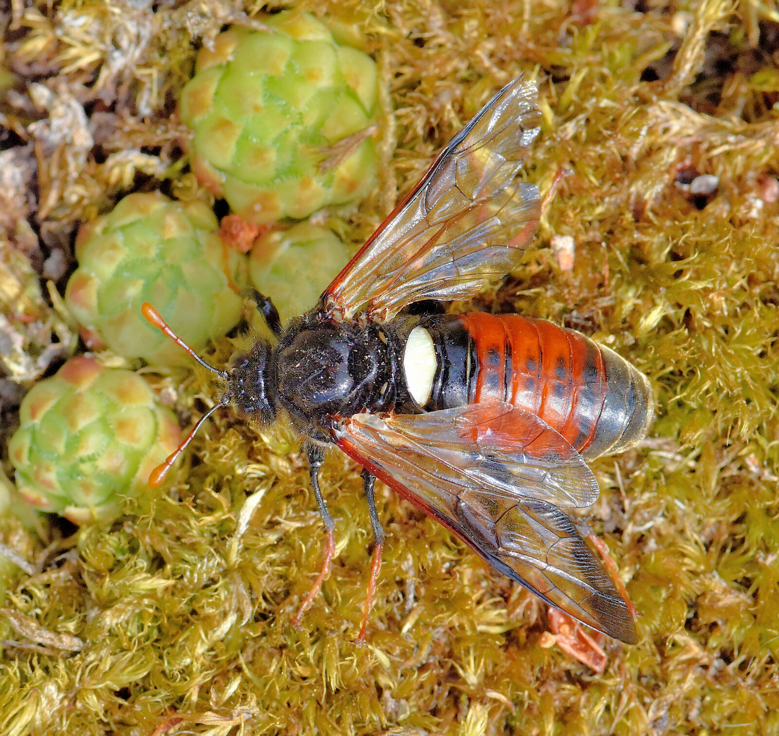 Valokuvaaja: Reijo Juurinen