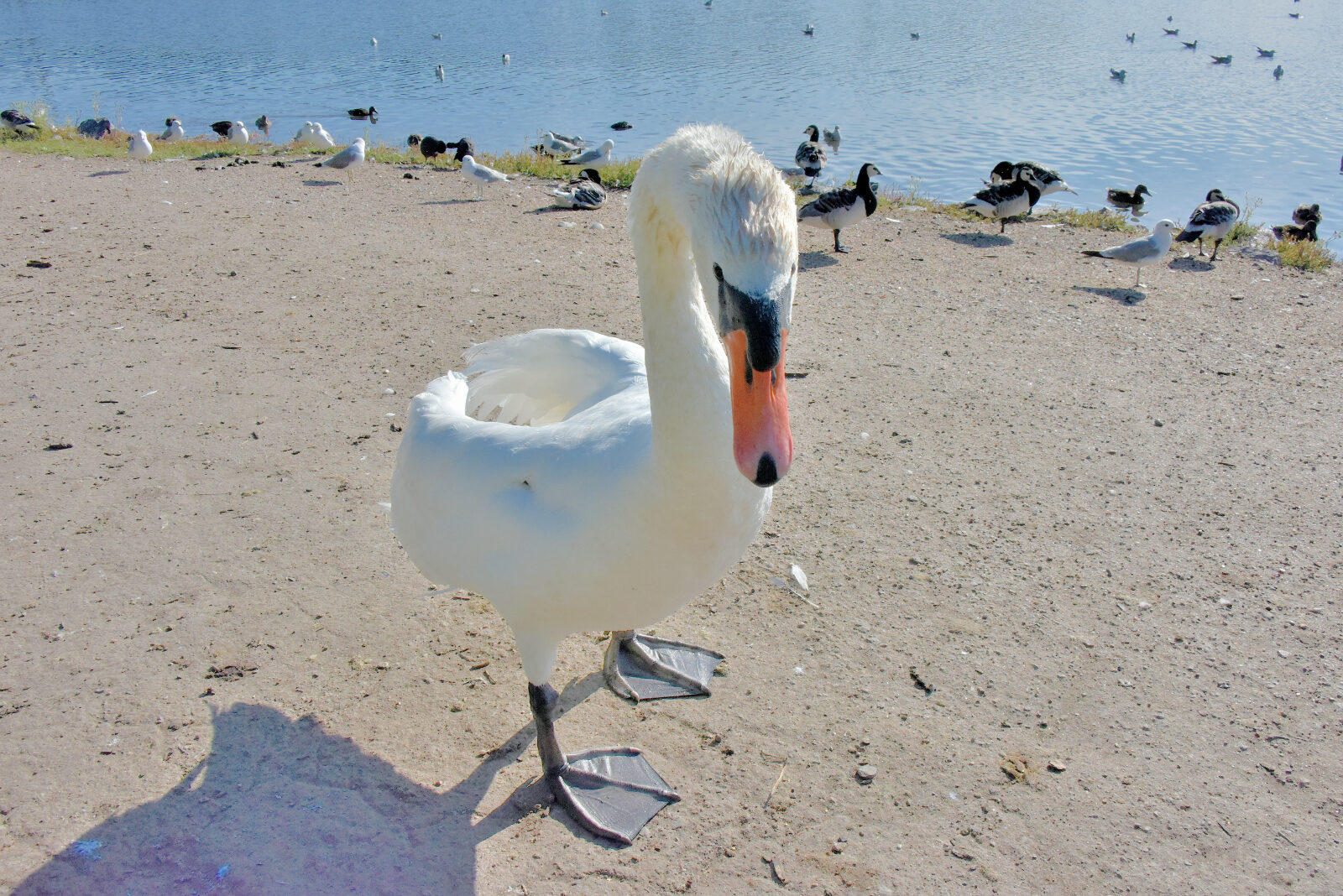 Valokuvaaja: Reijo Juurinen