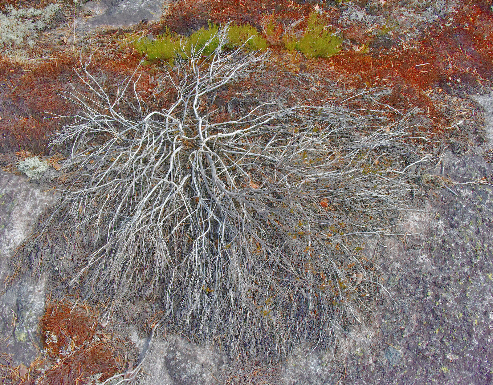 Valokuvaaja: Reijo Juurinen