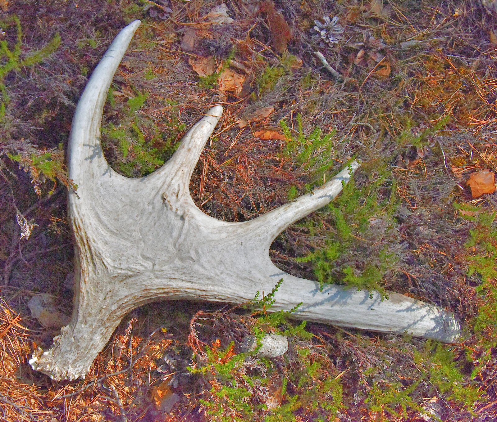 Valokuvaaja: Reijo Juurinen