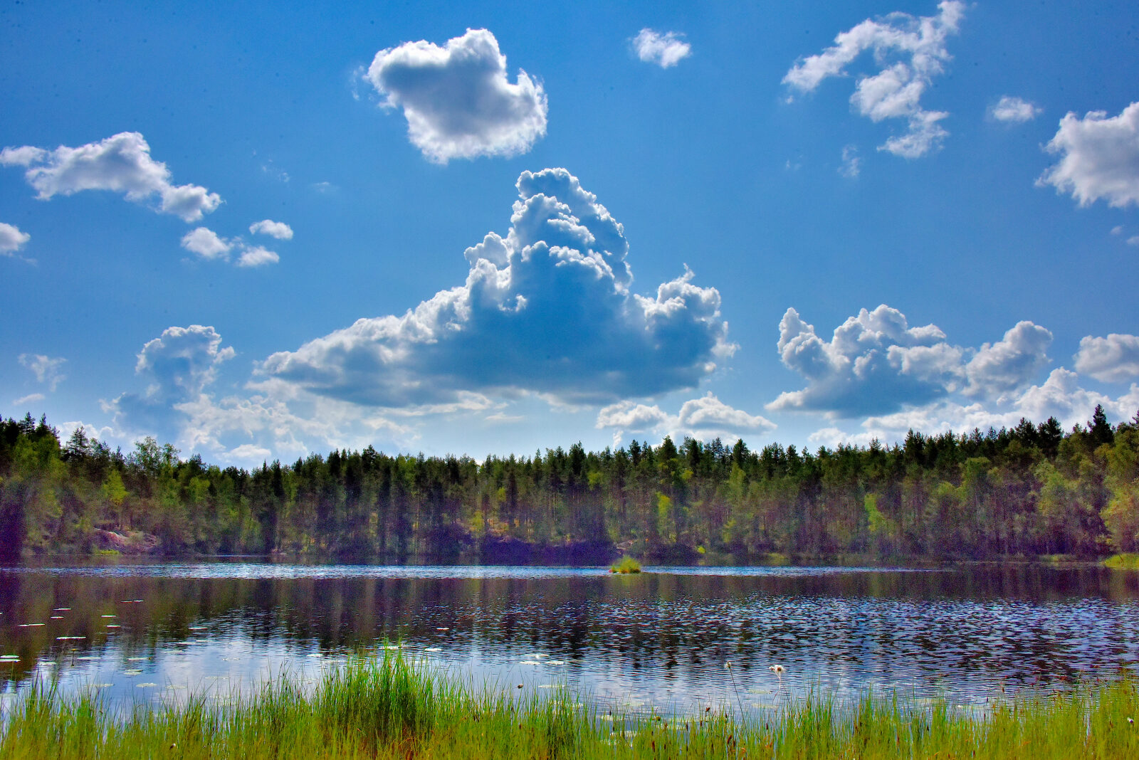 Valokuvaaja: Reijo Juurinen