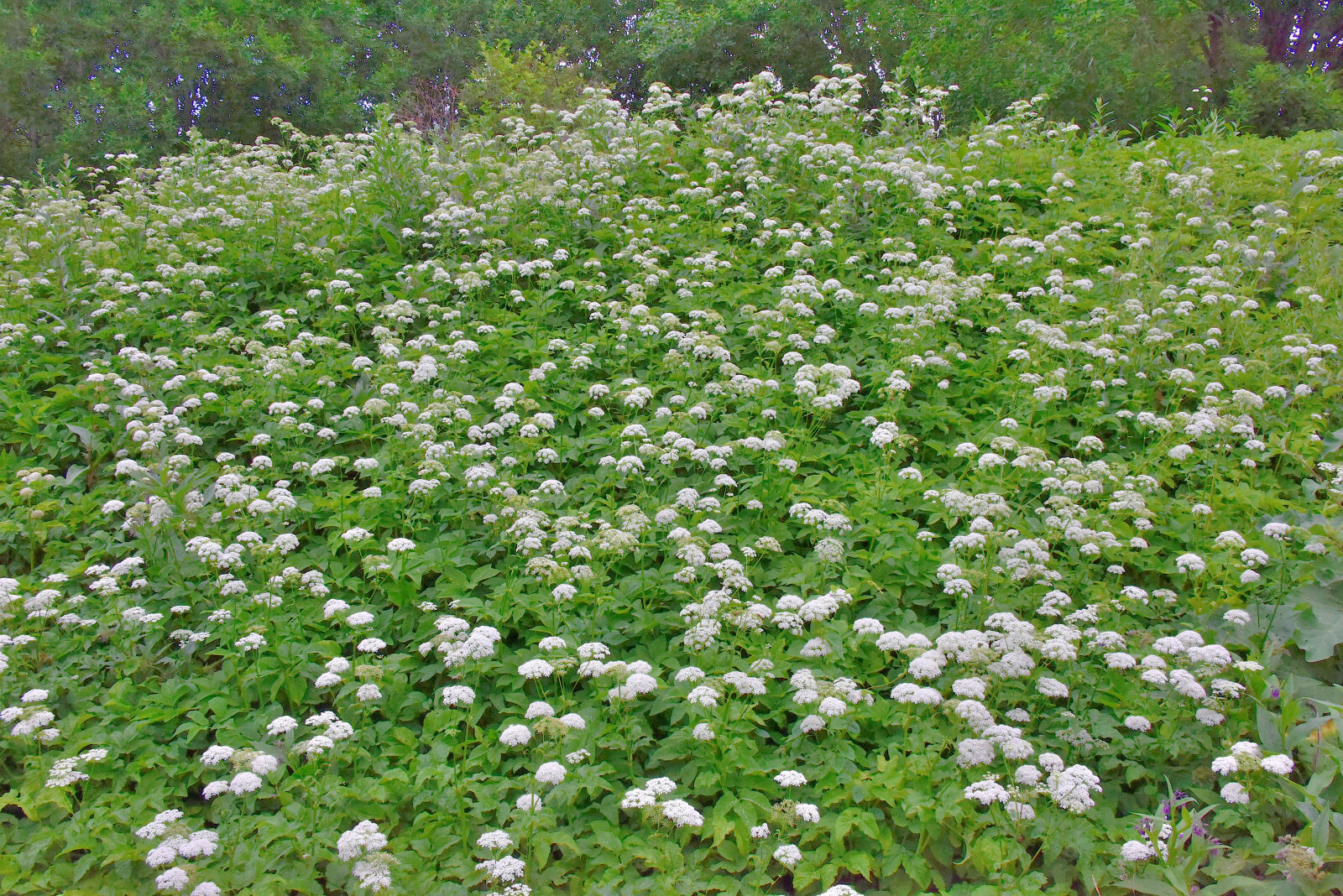 Valokuvaaja: Reijo Juurinen