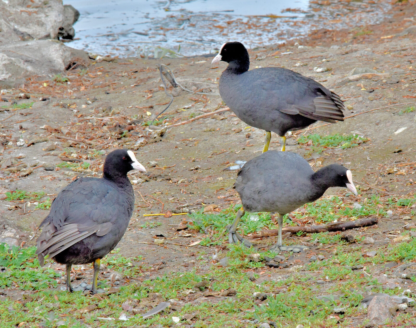 Valokuvaaja: Reijo Juurinen