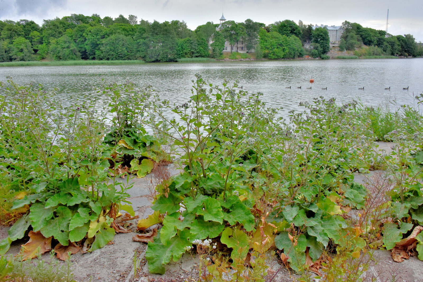 Valokuvaaja: Reijo Juurinen