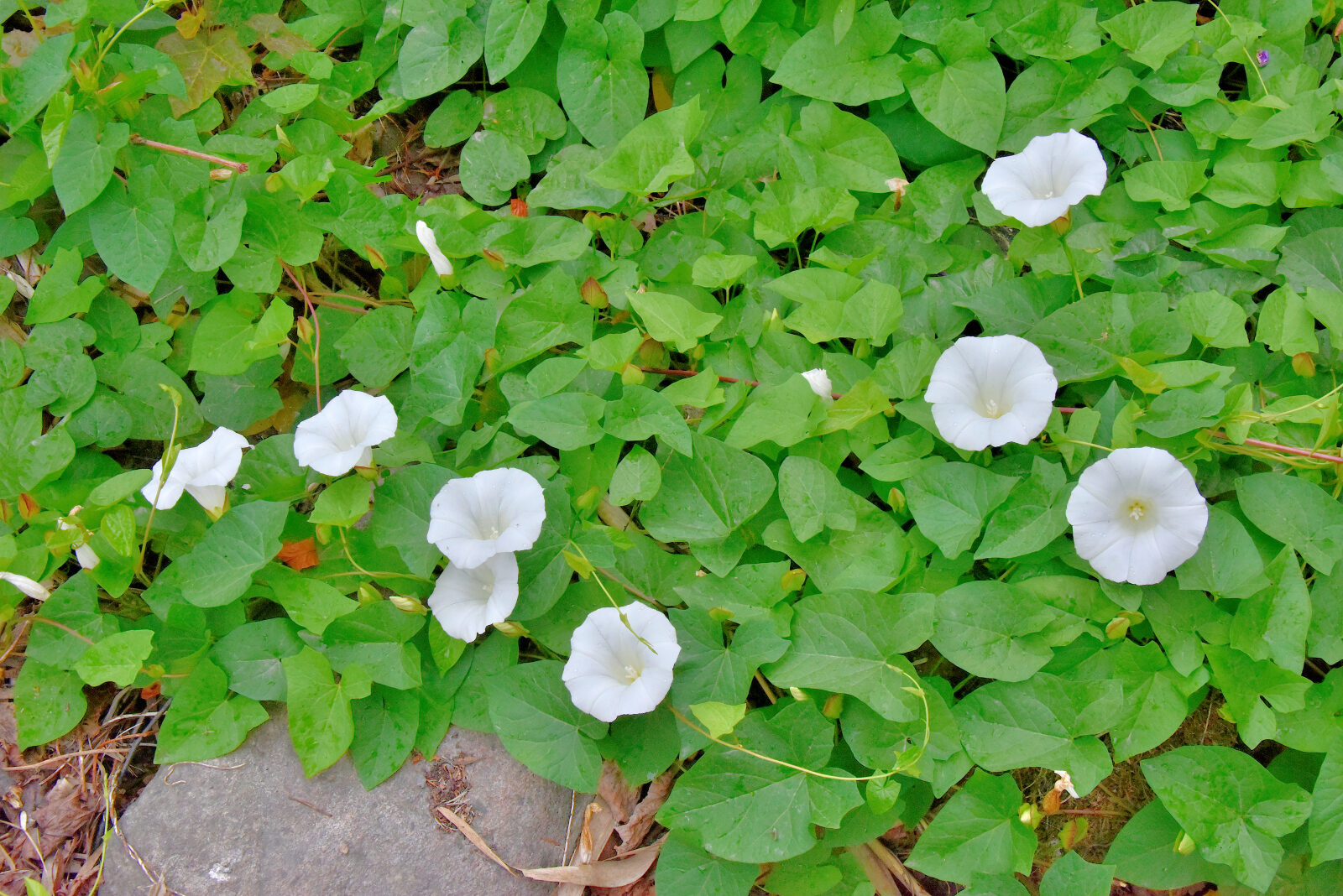 Valokuvaaja: Reijo Juurinen Valokuvaaja: Reijo Juurinen
