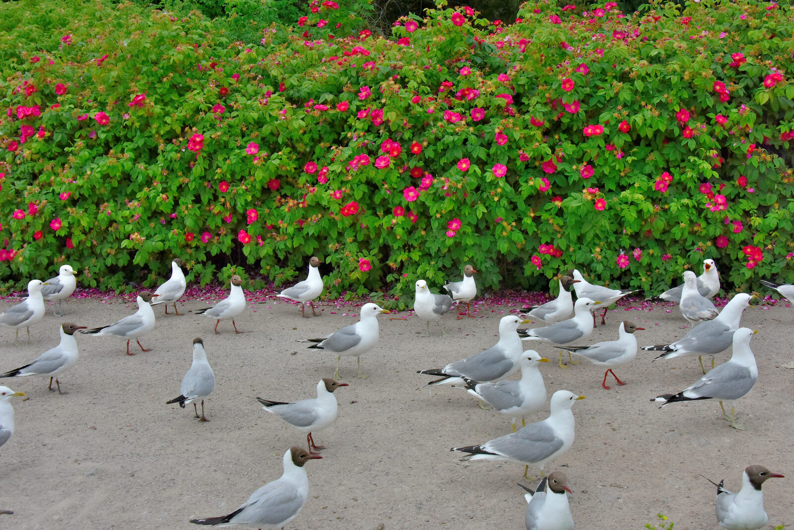 Valokuvaaja: Reijo Juurinen