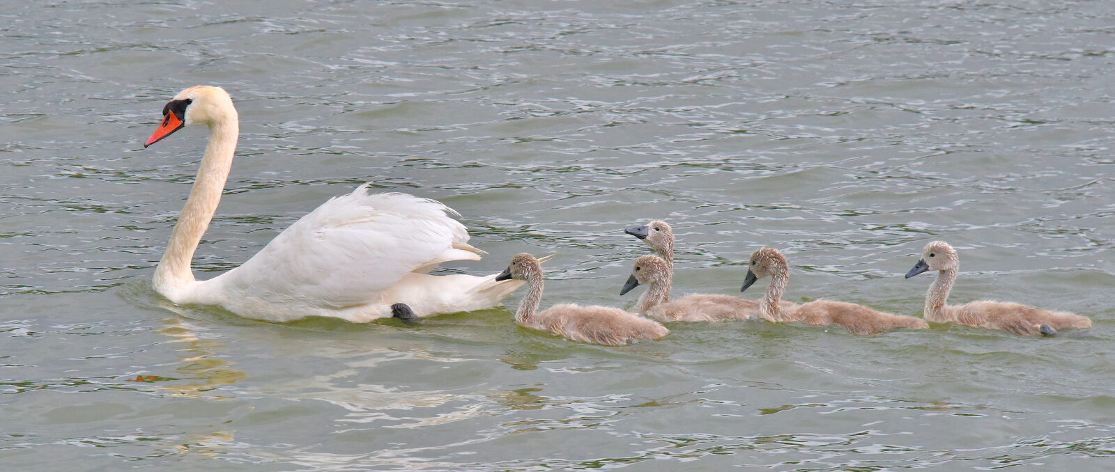Valokuvaaja: Reijo Juurinen