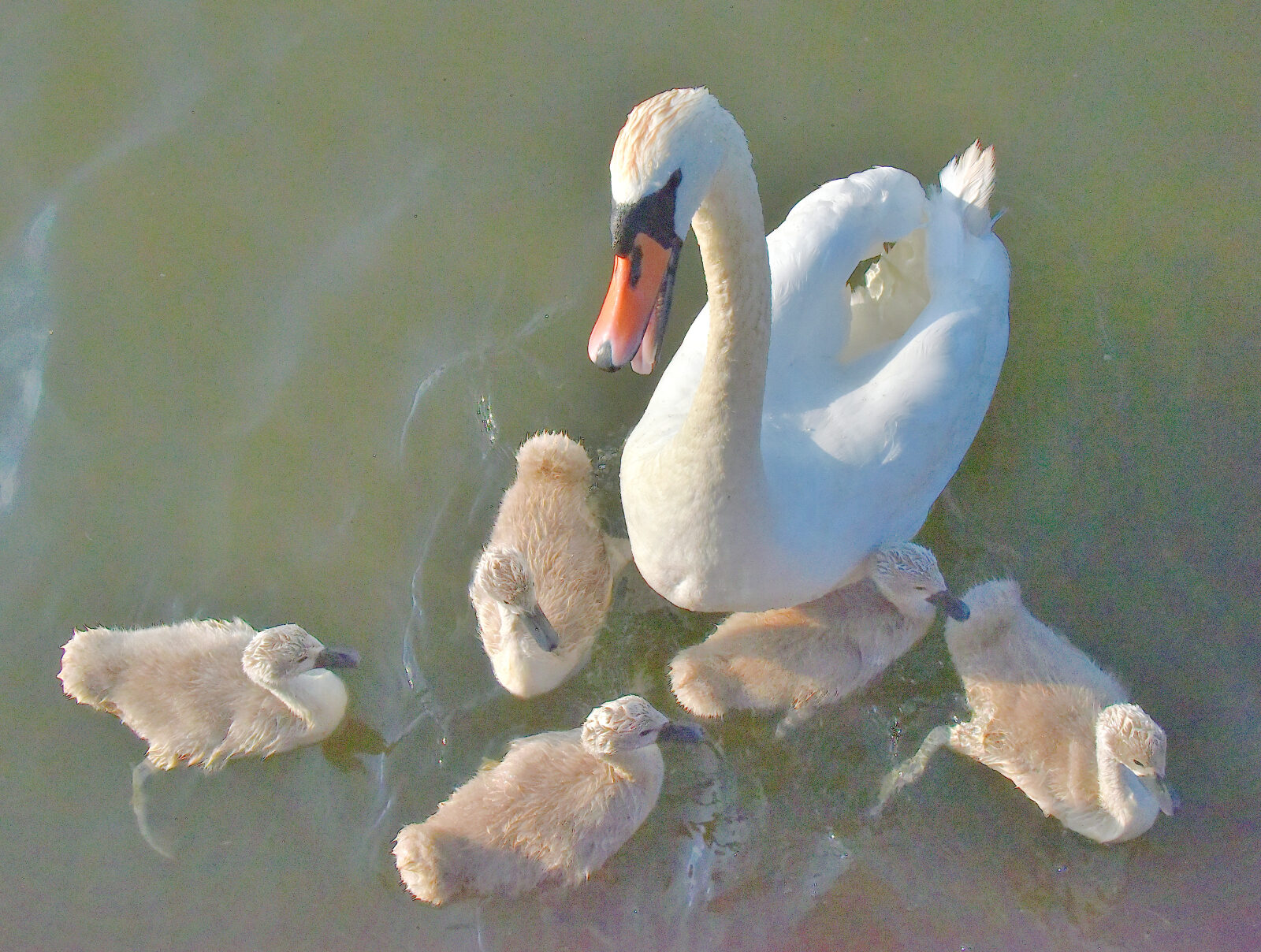 Valokuvaaja: Reijo Juurinen