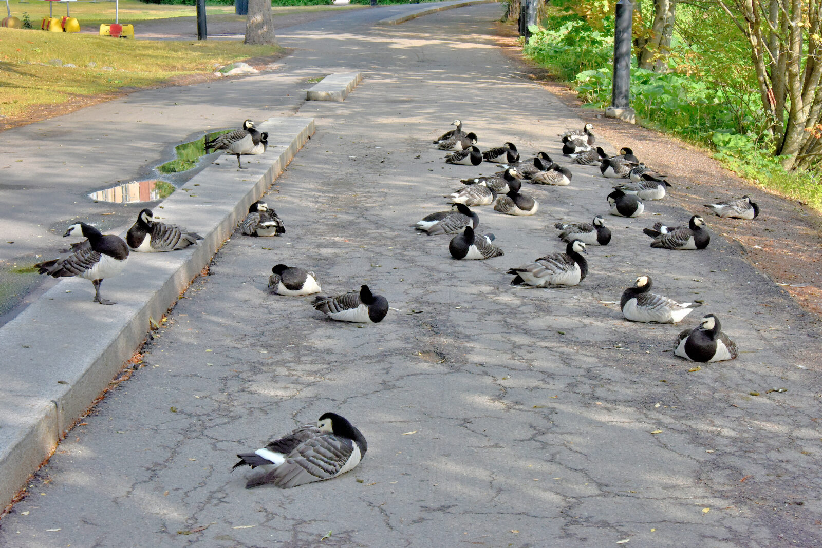 Valokuvaaja: Reijo Juurinen