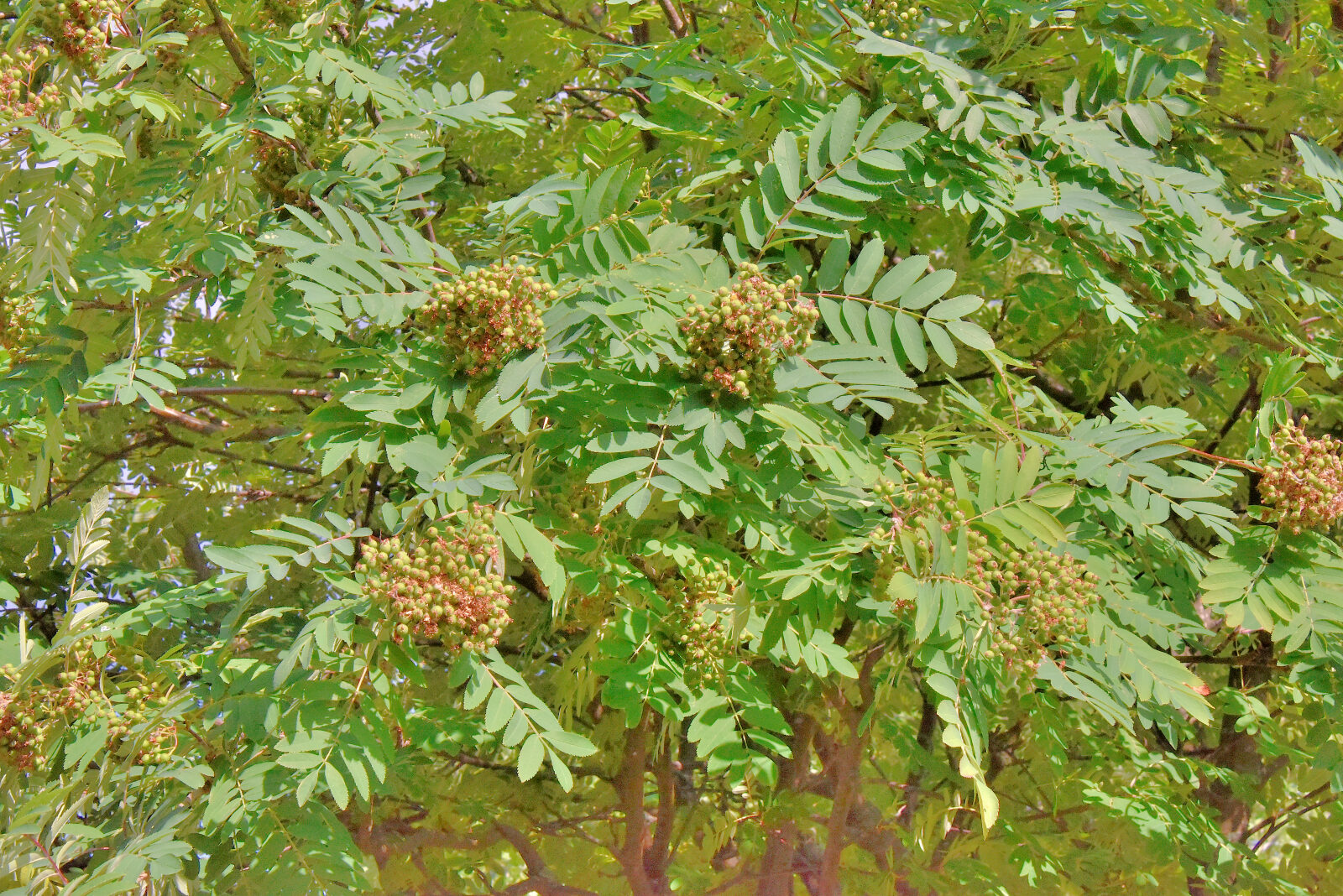 Valokuvaaja: Reijo Juurinen