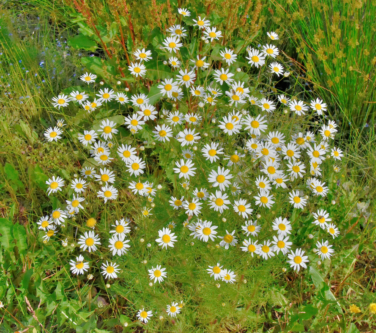 Valokuvaaja: Reijo Juurinen