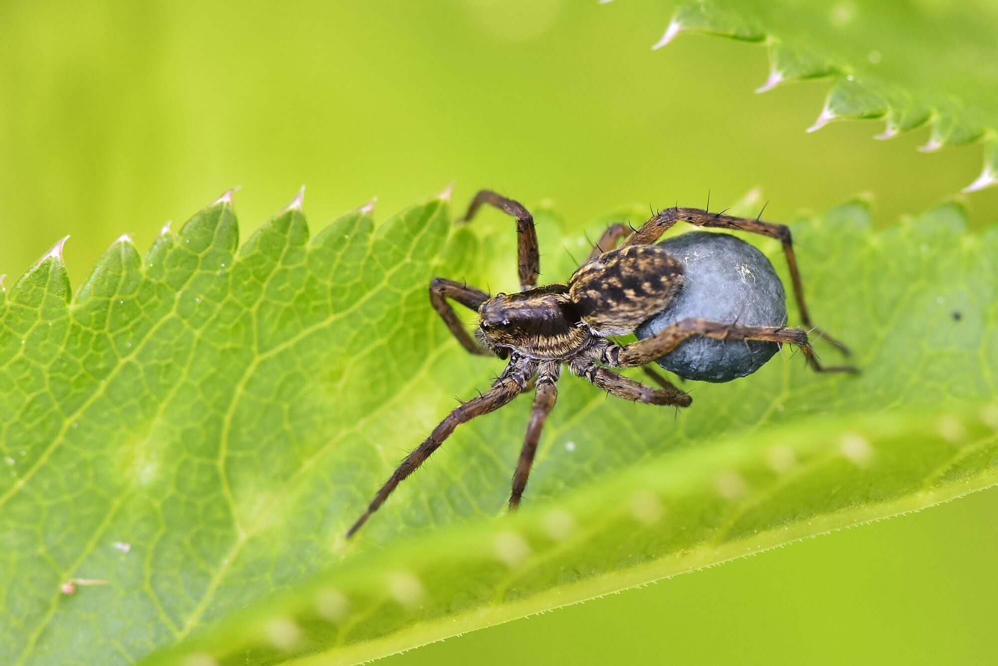 Valokuvaaja: Markku Pelkonen