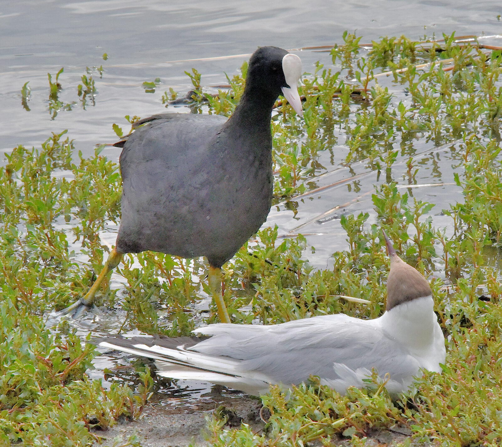 Valokuvaaja: Reijo Juurinen