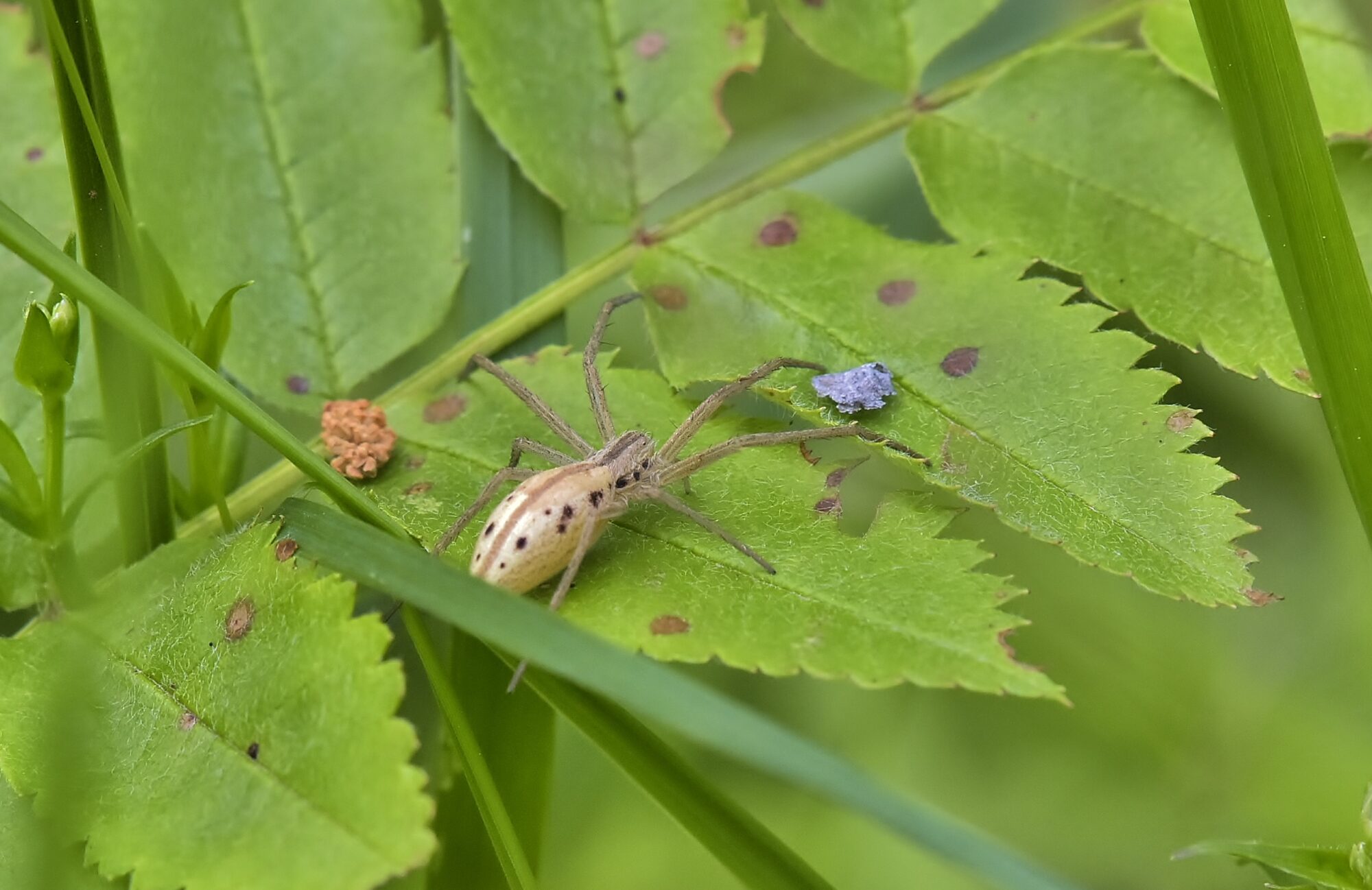 Valokuvaaja: Markku Pelkonen