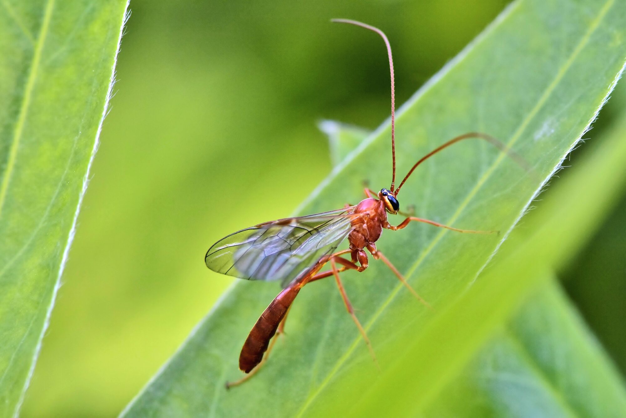 Valokuvaaja: Markku Pelkonen