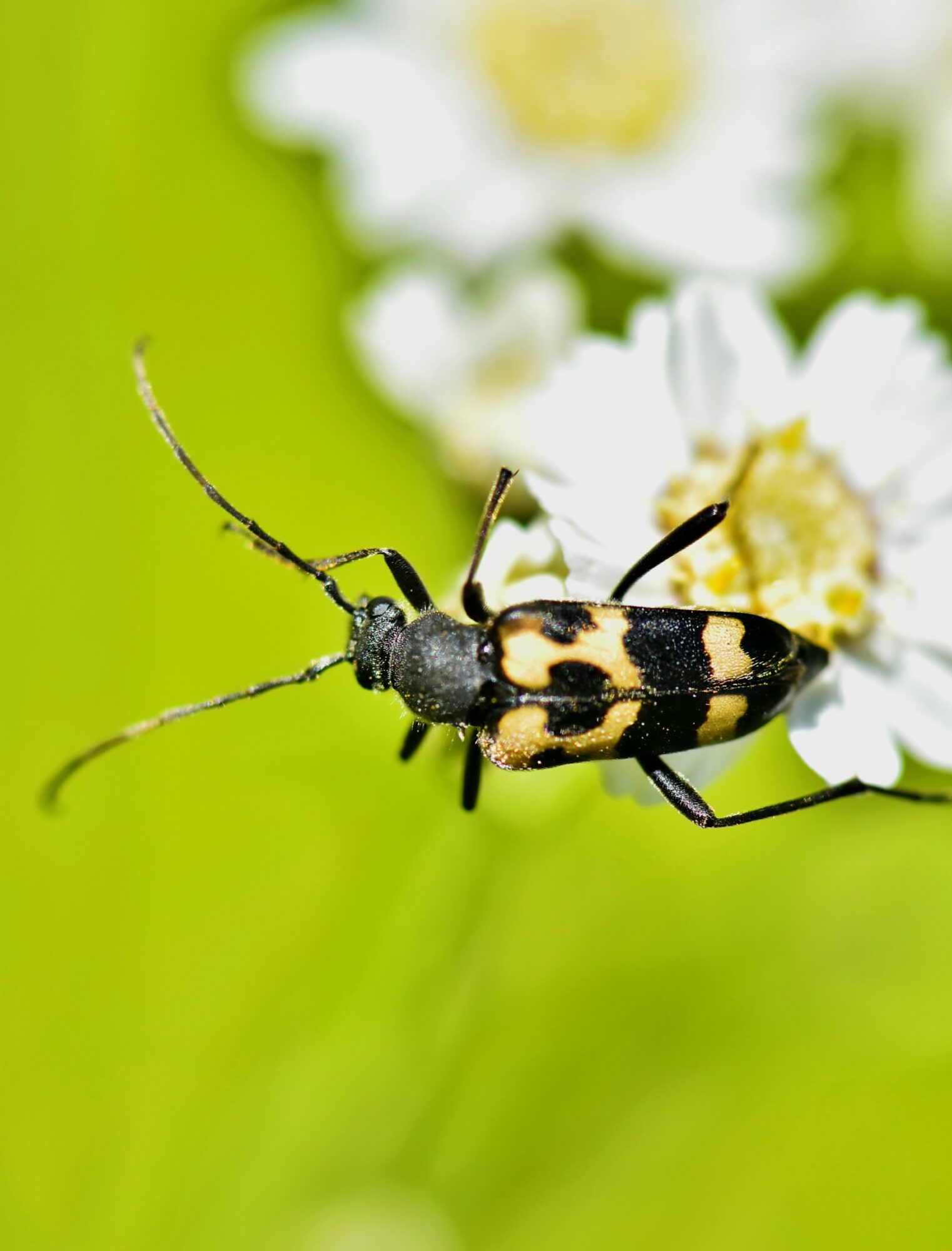 Valokuvaaja: Markku Pelkonen