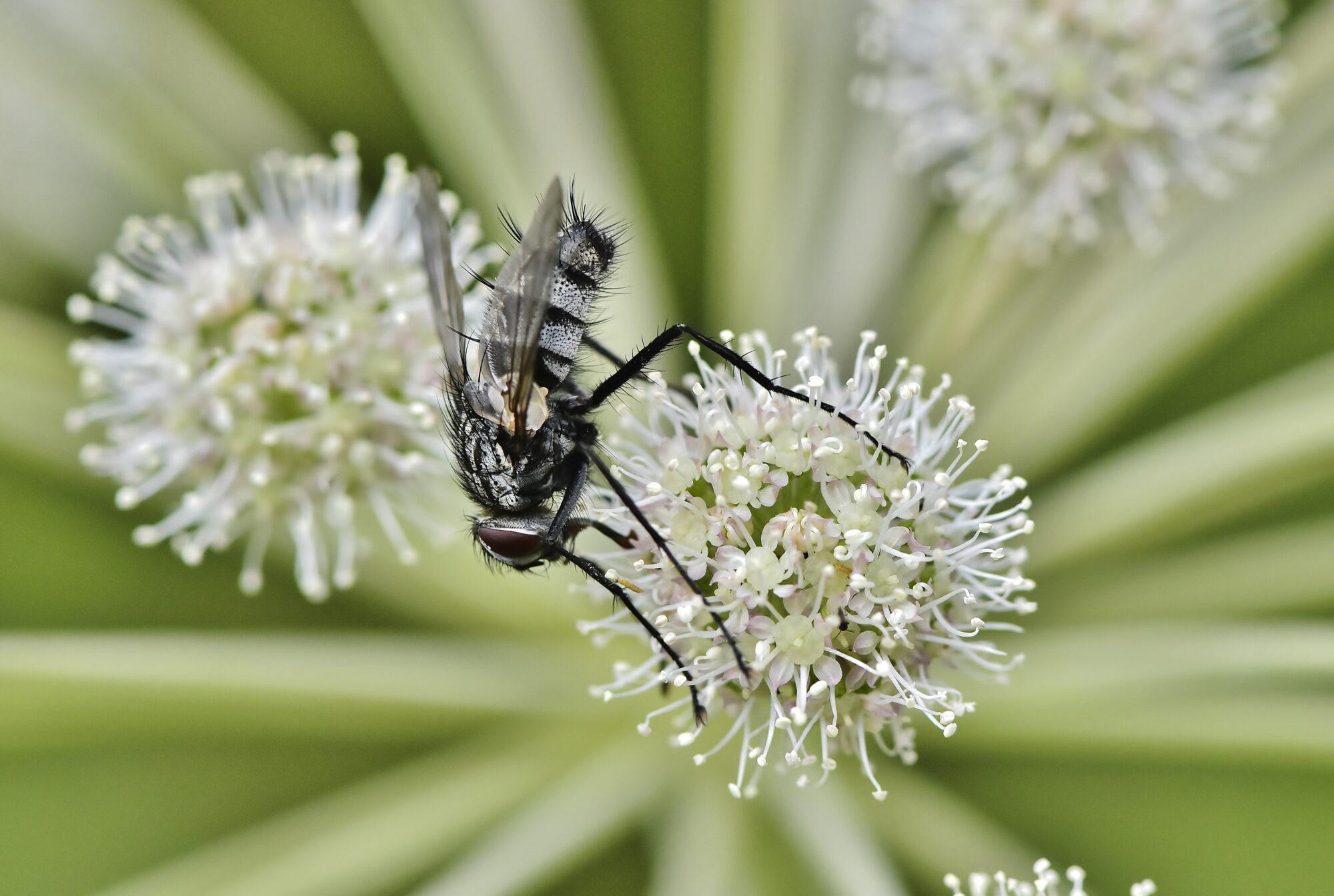 Valokuvaaja: Markku Pelkonen Valokuvaaja: Markku Pelkonen