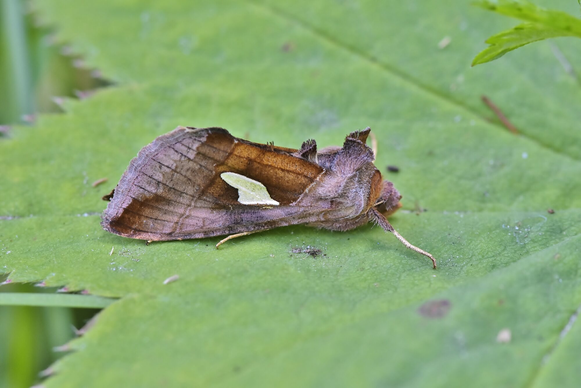 Valokuvaaja: Markku Pelkonen