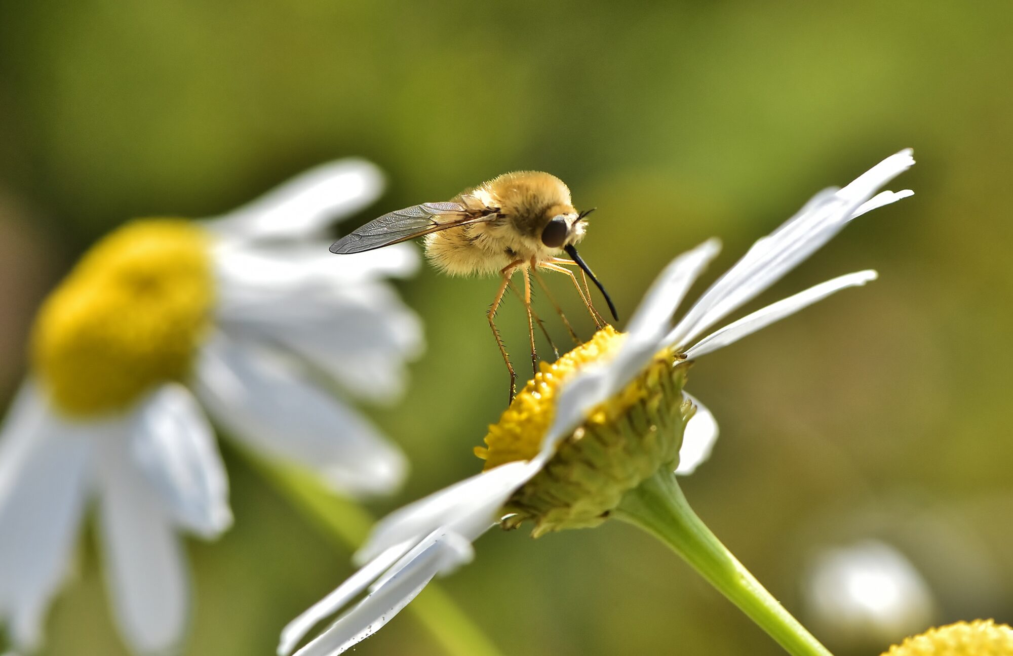 Valokuvaaja: Markku Pelkonen