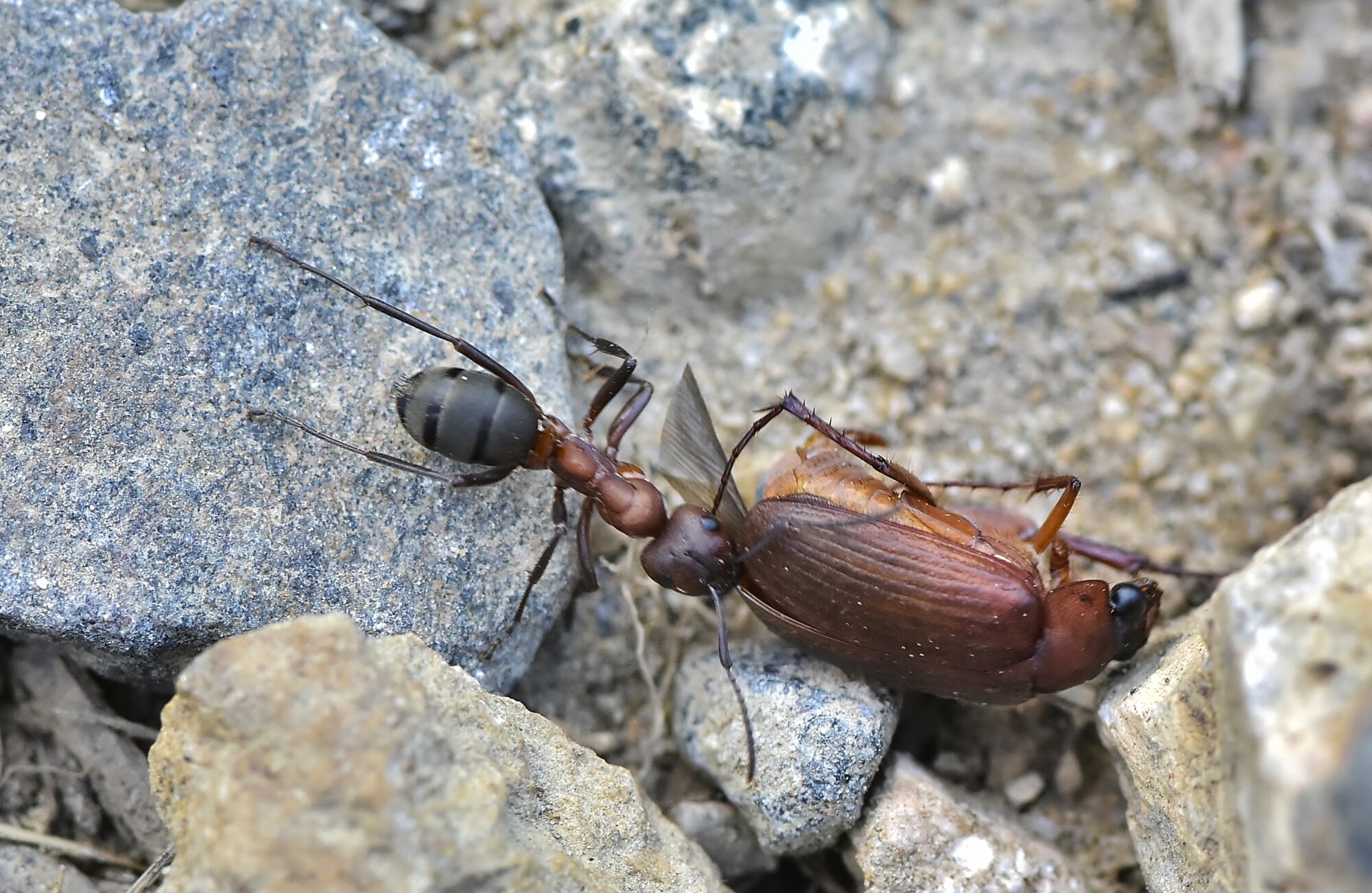 Valokuvaaja: Markku Pelkonen