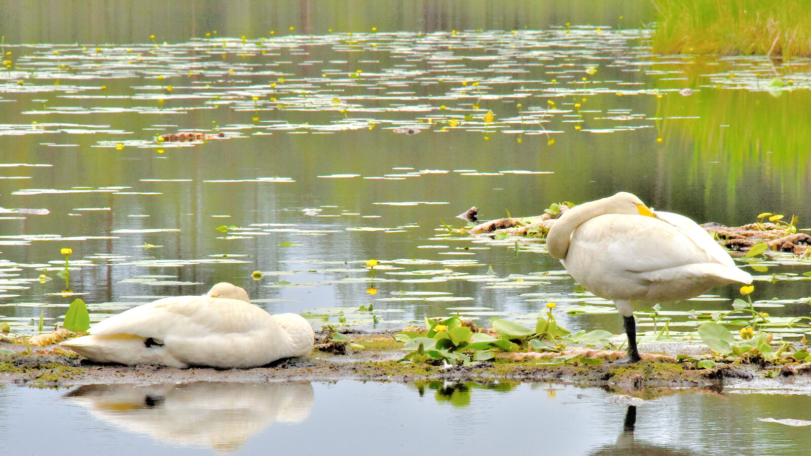 Valokuvaaja: Reijo Juurinen