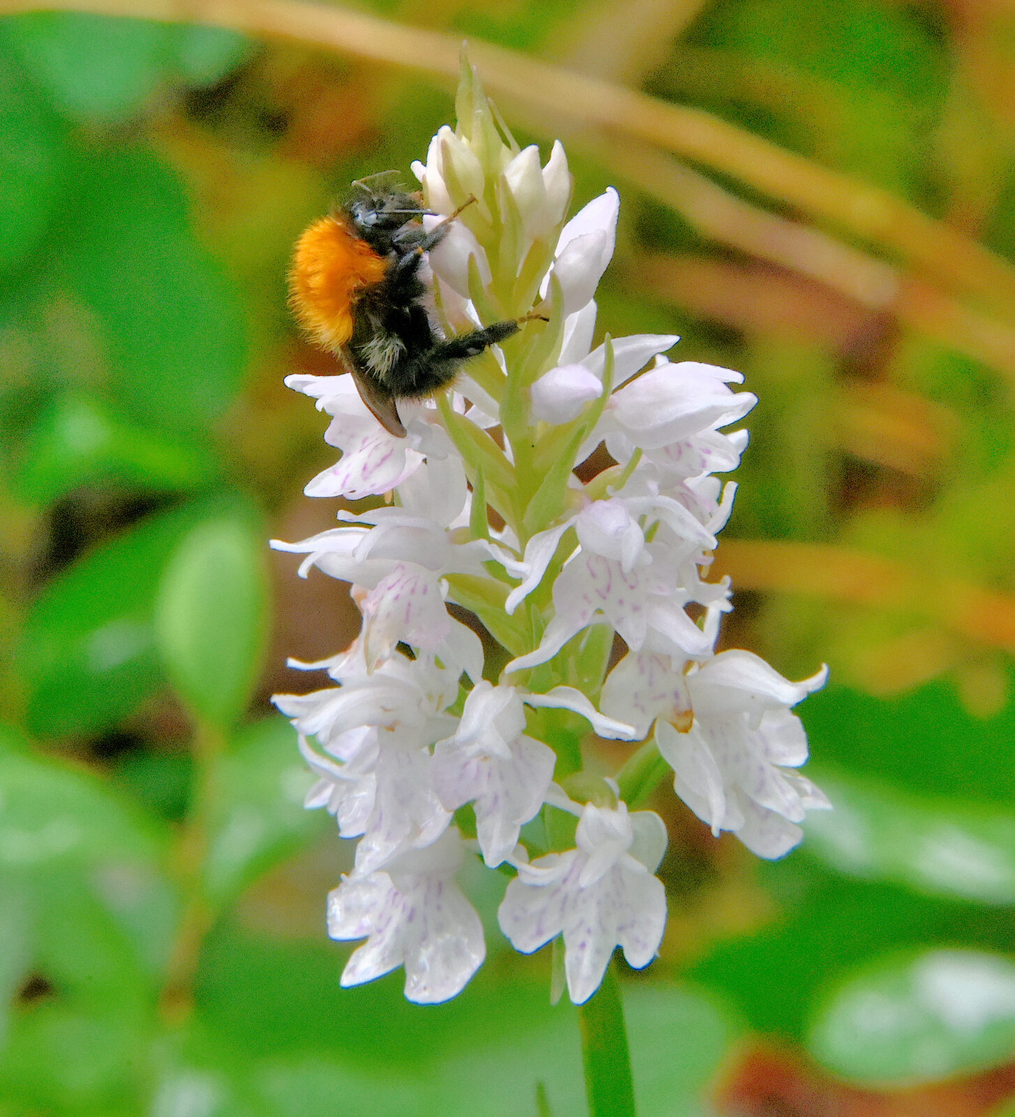 Valokuvaaja: Reijo Juurinen