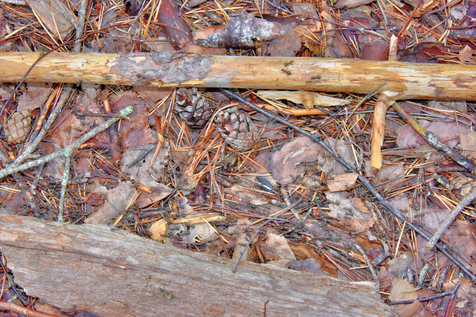 Valokuvaaja: Reijo Juurinen