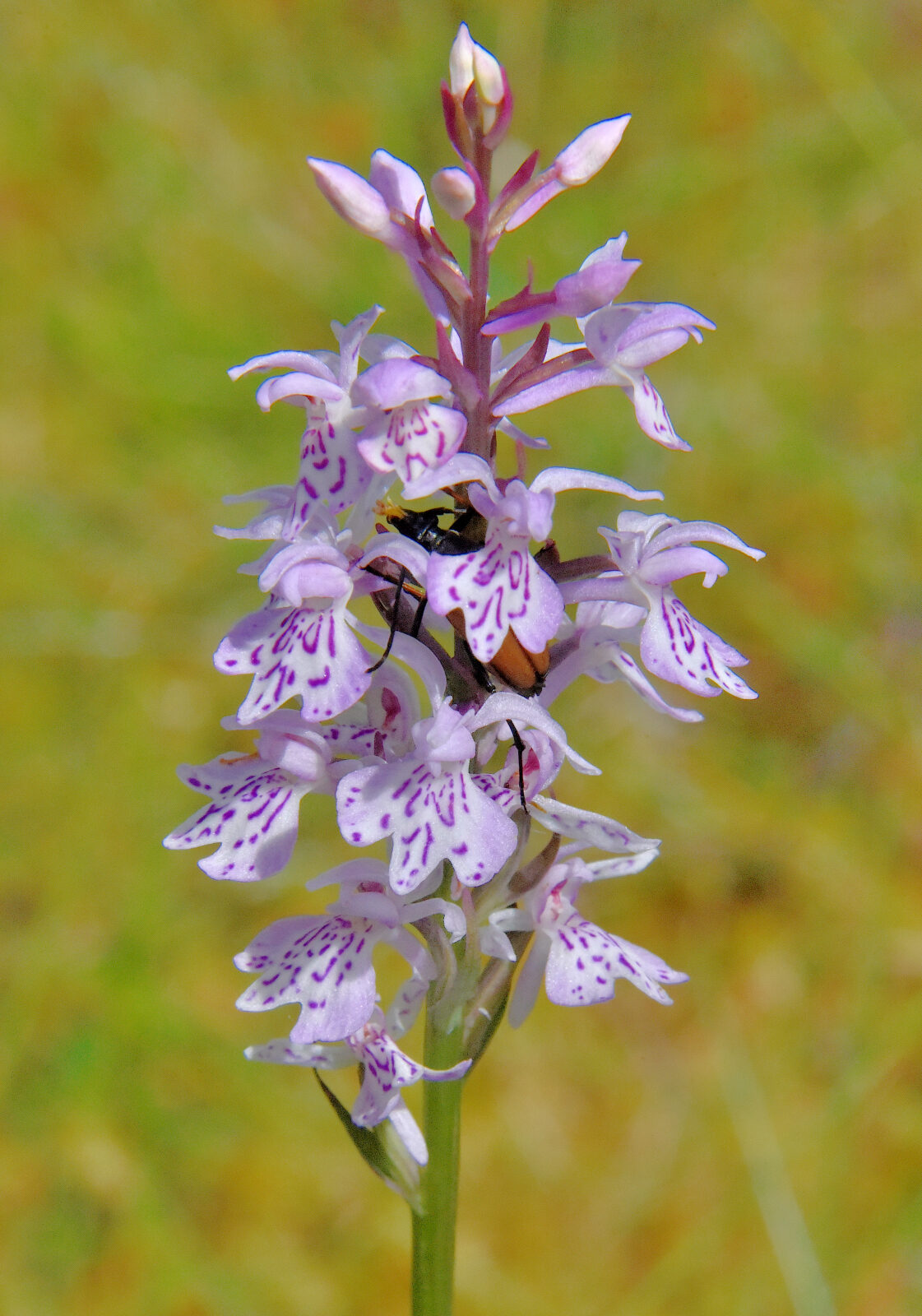 Valokuvaaja: Reijo Juurinen