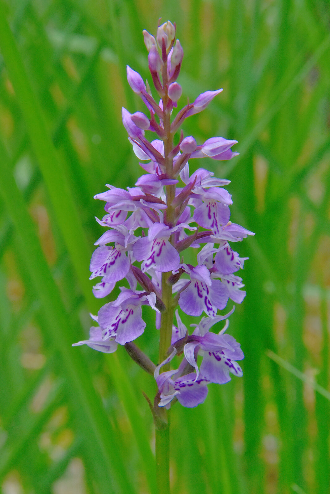 Valokuvaaja: Reijo Juurinen