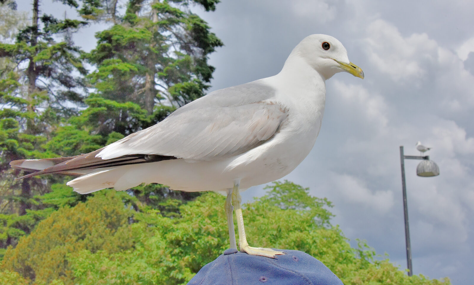 Valokuvaaja: Reijo Juurinen