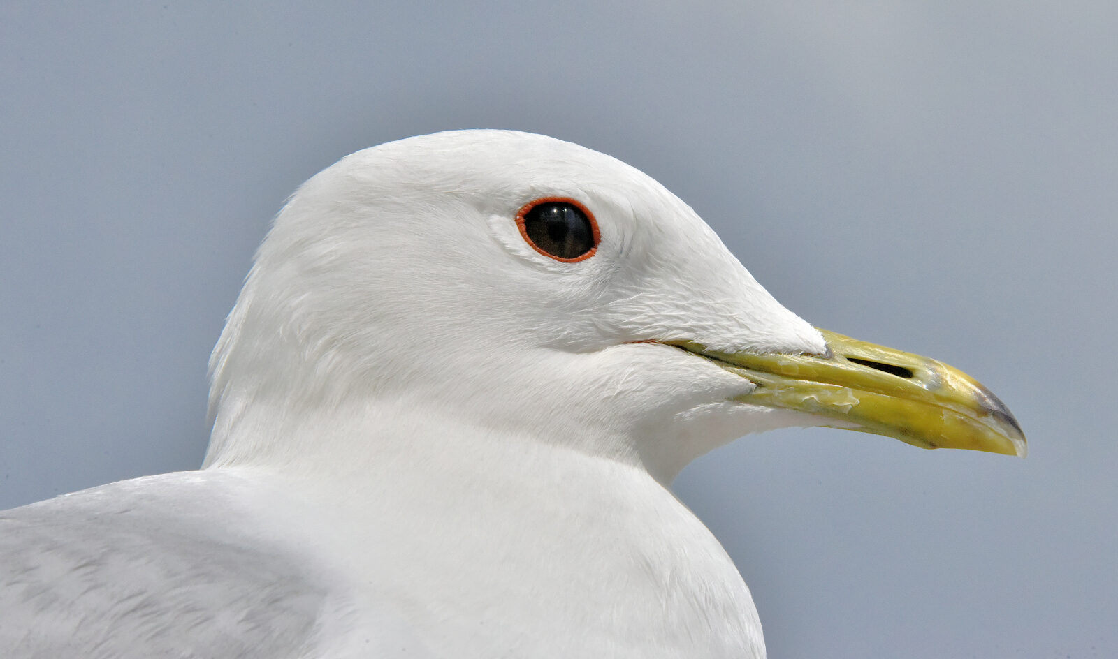 Valokuvaaja: Reijo Juurinen