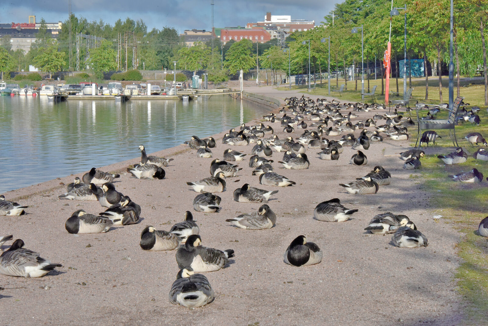 Valokuvaaja: Reijo Juurinen