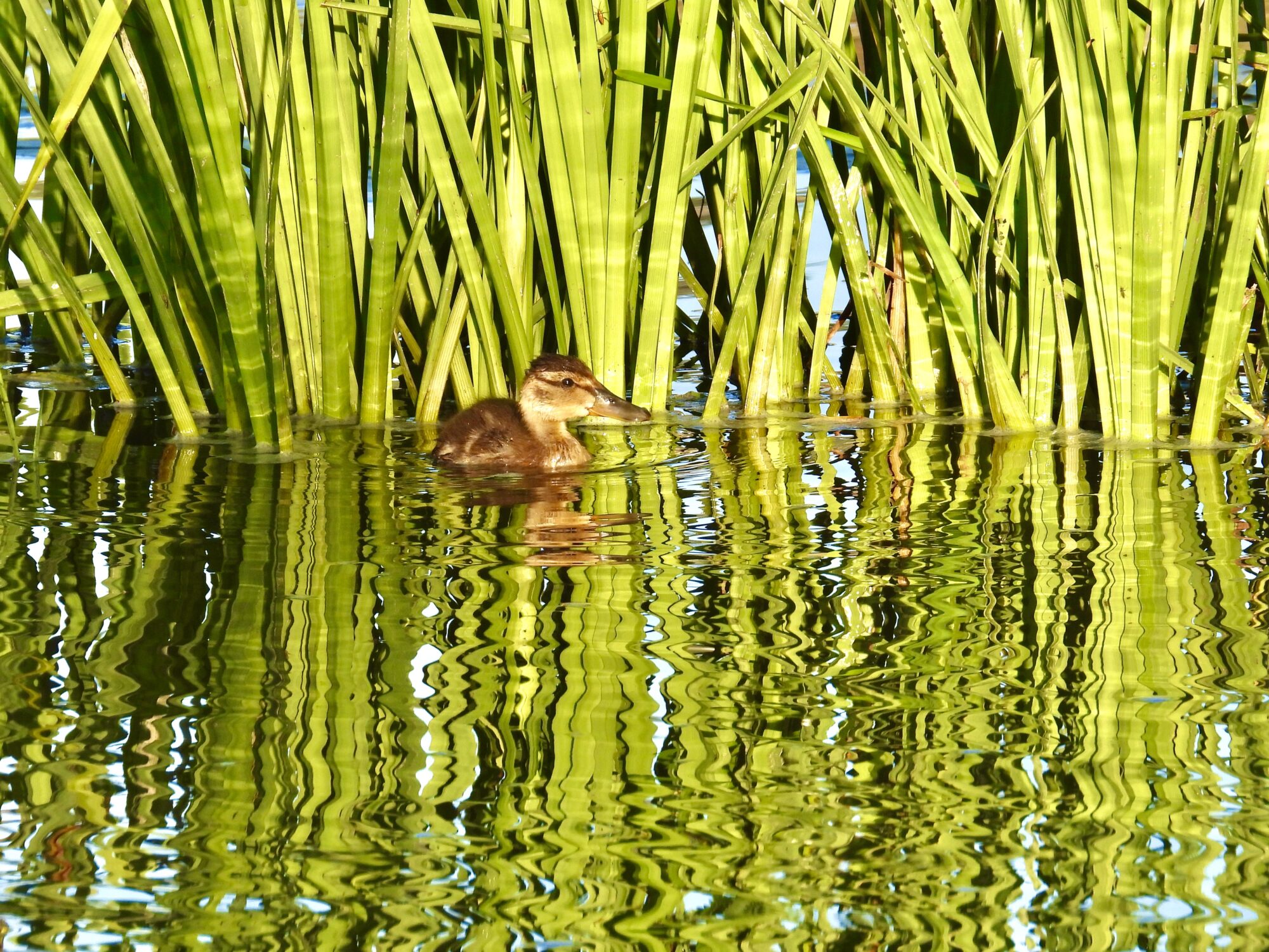 Valokuvaaja: Juhani Peltonen