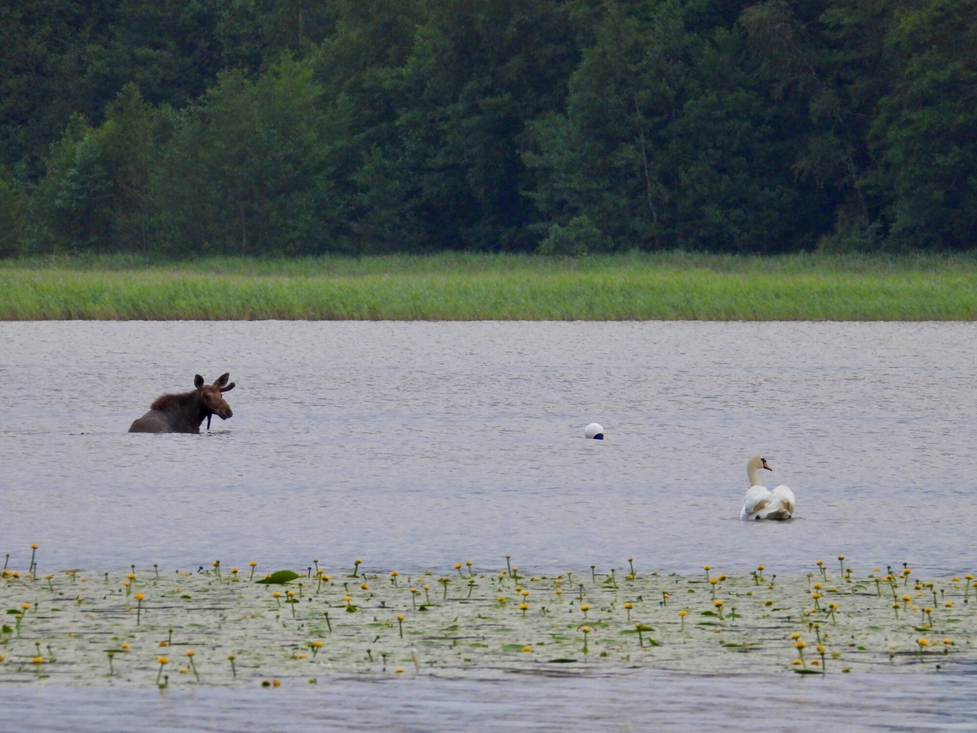 Valokuvaaja: Juhani Peltonen