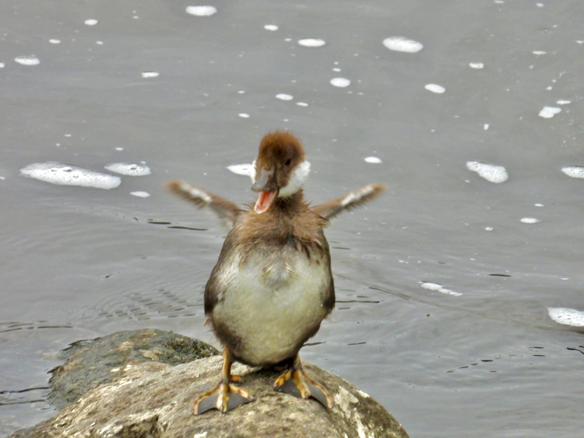 Valokuvaaja: Juhani Peltonen