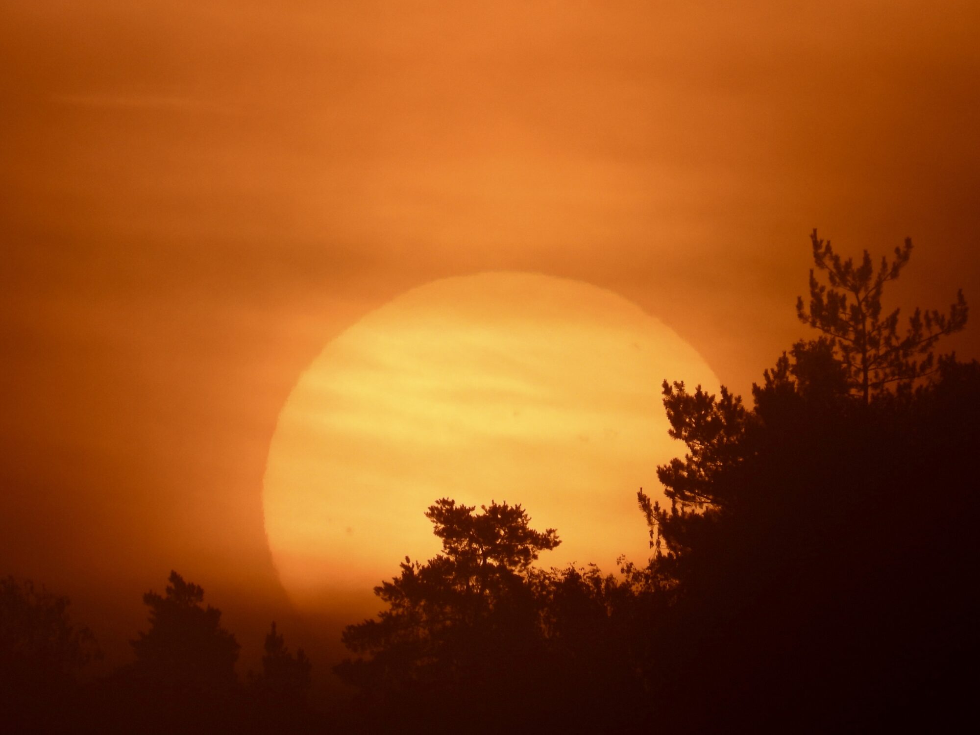 Valokuvaaja: Juhani Peltonen