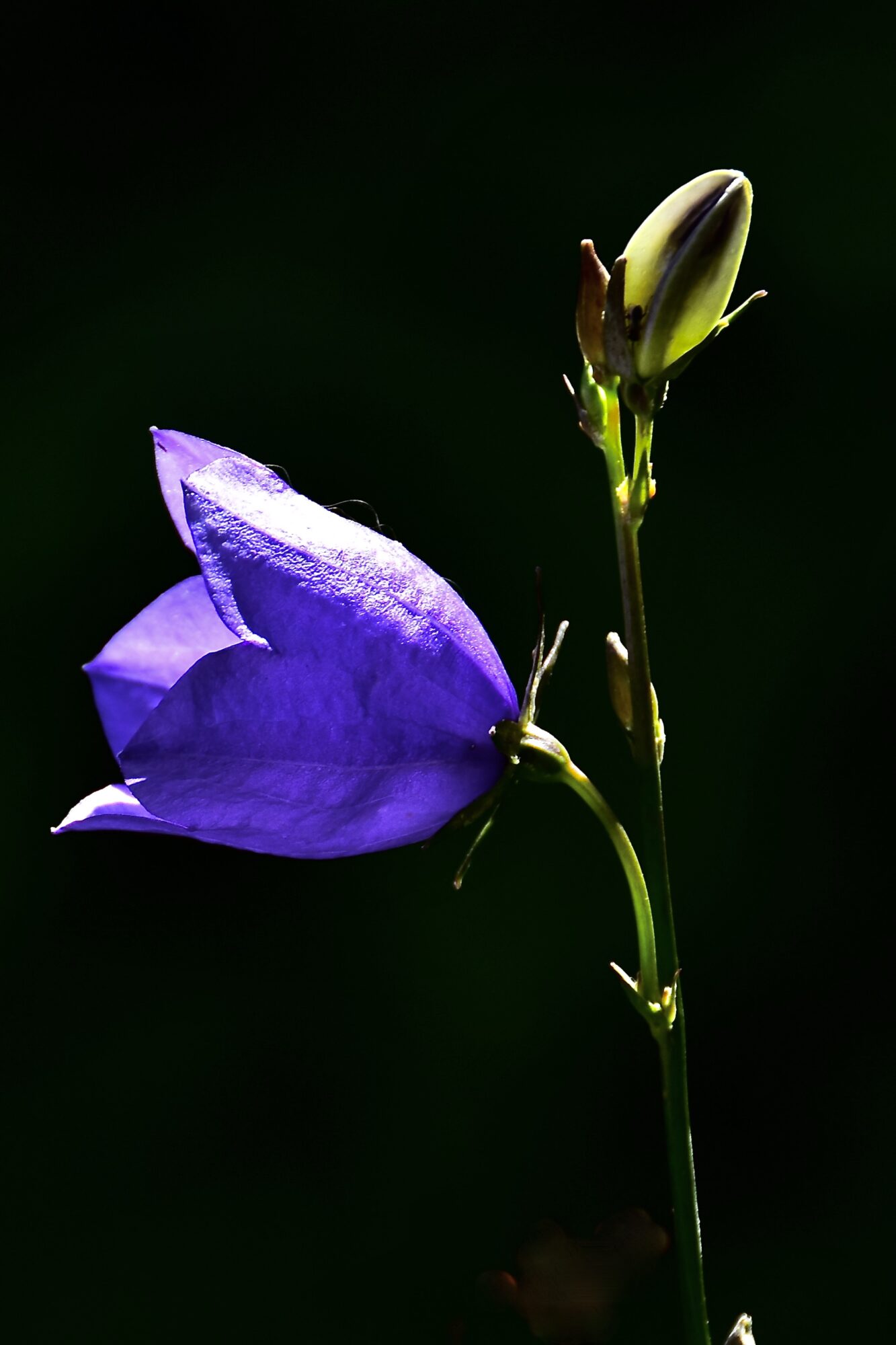 Valokuvaaja: Lasse Rokka