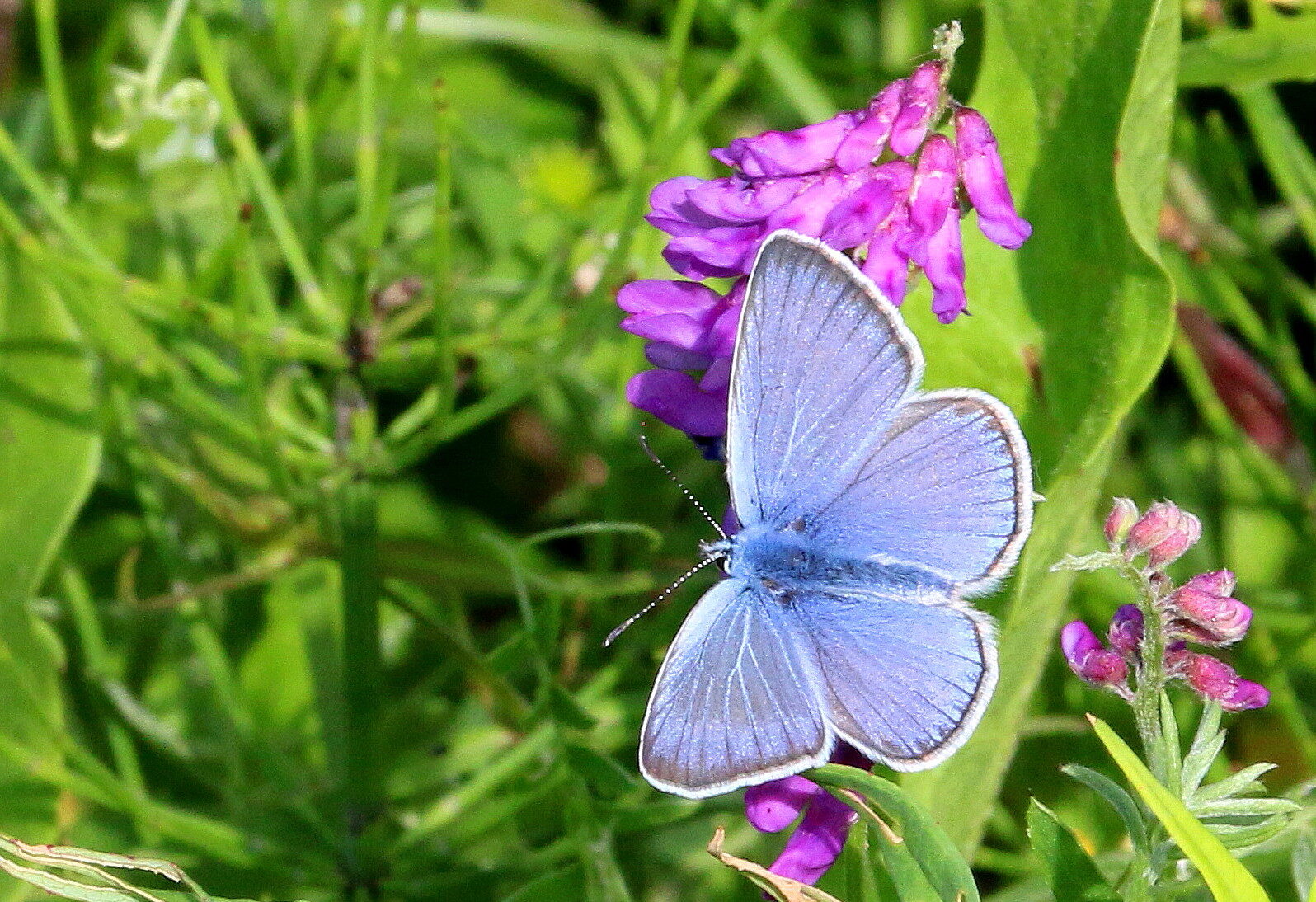 Valokuvaaja: Tuukka Pahtamaa