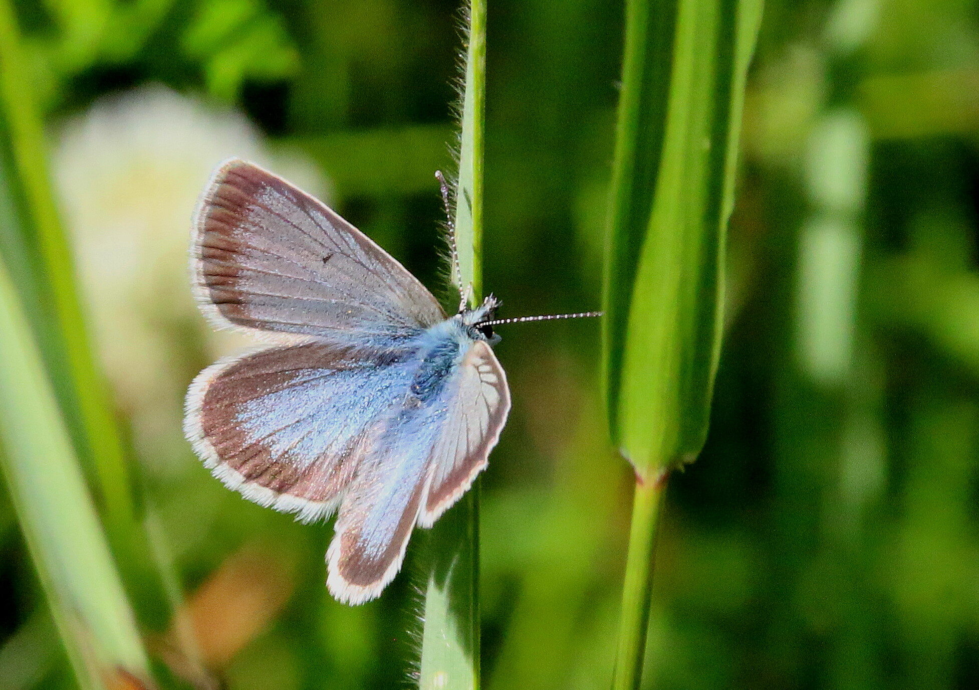 Valokuvaaja: Tuukka Pahtamaa