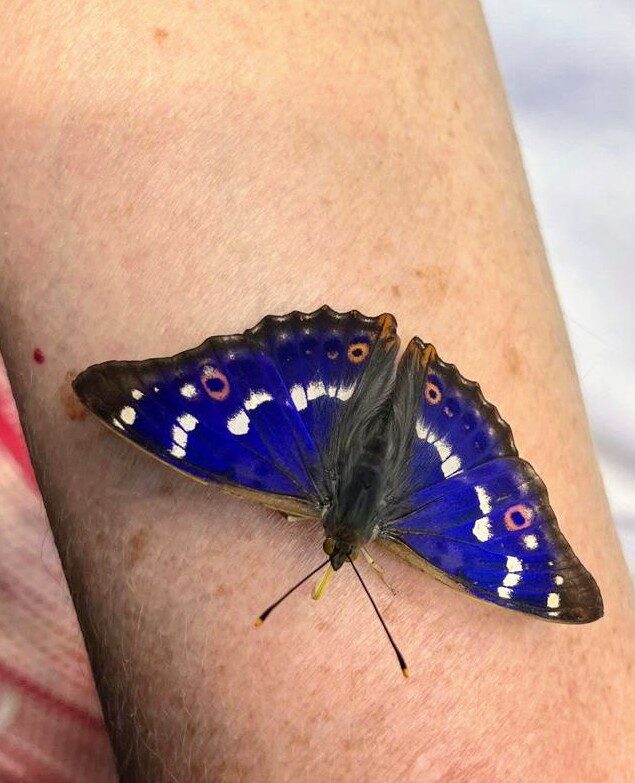 Valokuvaaja: Hannu Suominen